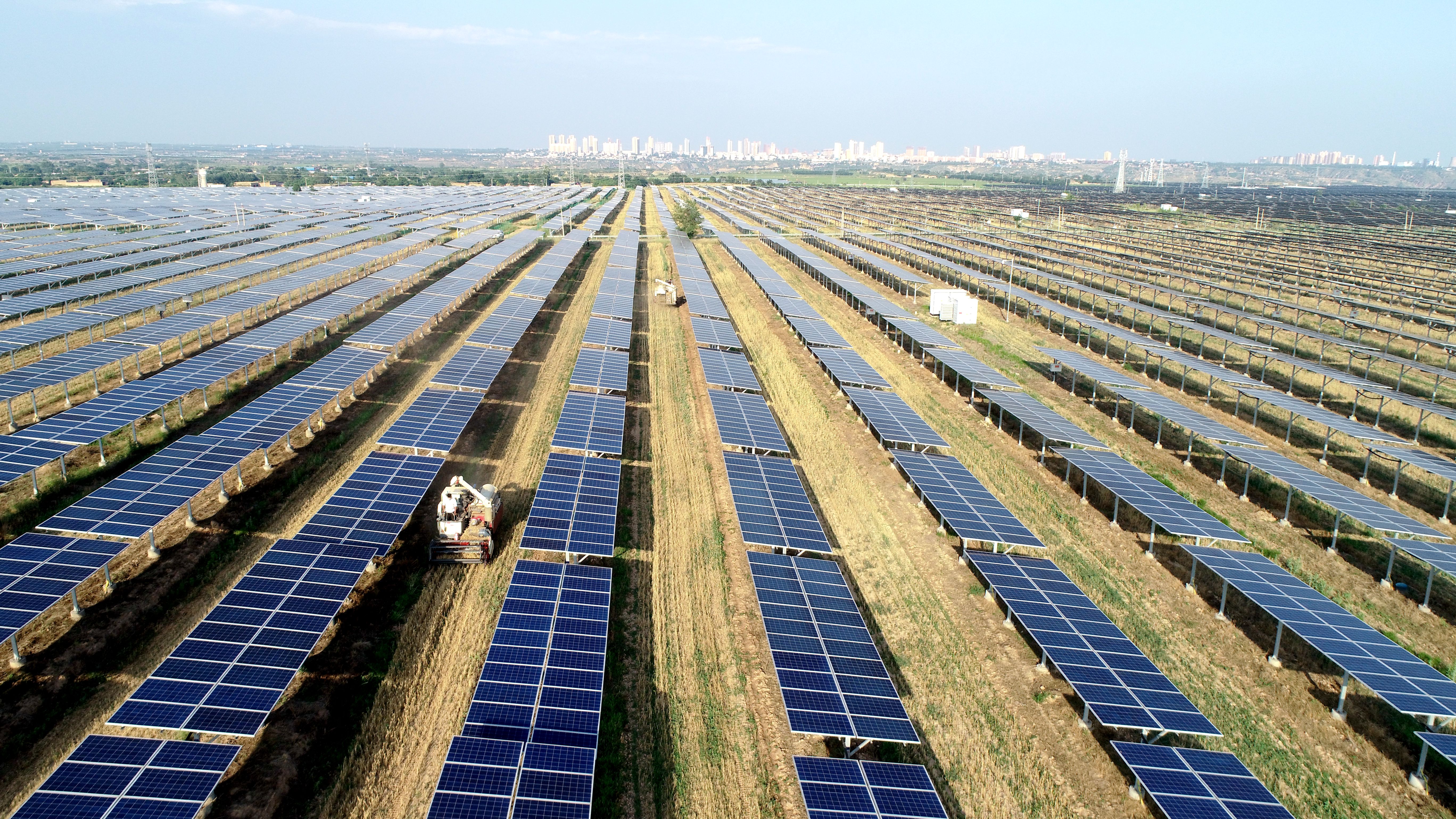 2.大唐澄城安里10萬千瓦農(nóng)光互補光伏電站采取“農(nóng)光互補”模式，不僅大大提高土地綜合利用率，還帶動當?shù)卮迕裨诩议T口就業(yè)，促進農(nóng)民增收。任永紅攝 .jpg